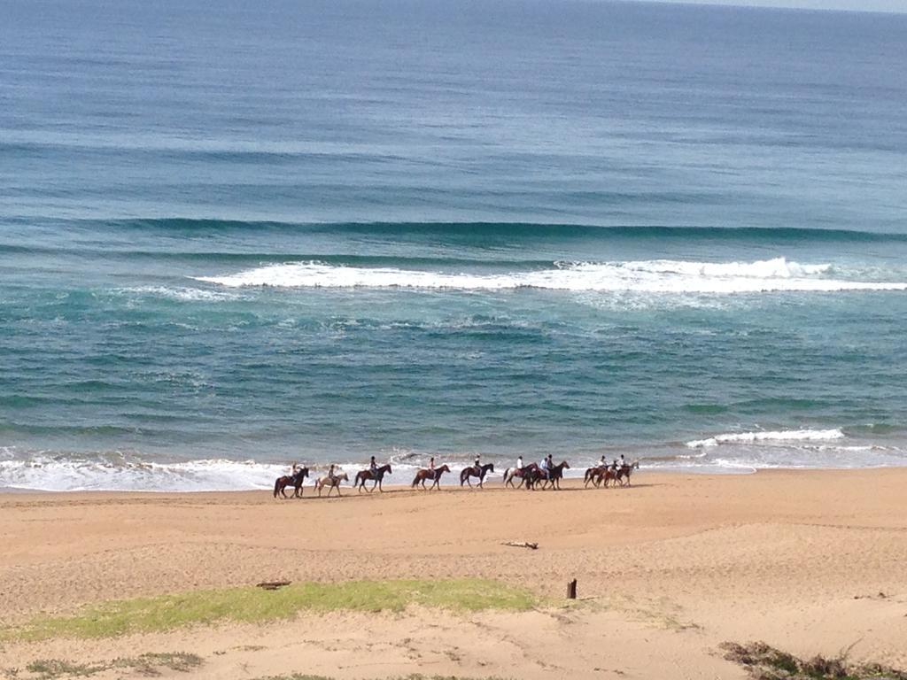 Seaview Apartment Amanzimtoti Room photo